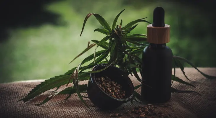 Productos CBD derivados del cáñamo de Naturecan